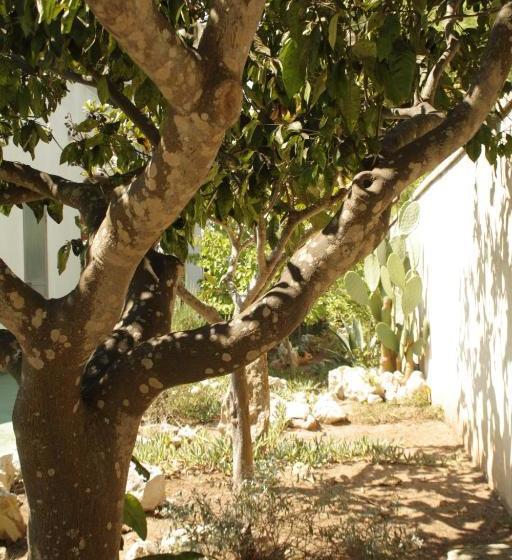 Bed and Breakfast Smit House