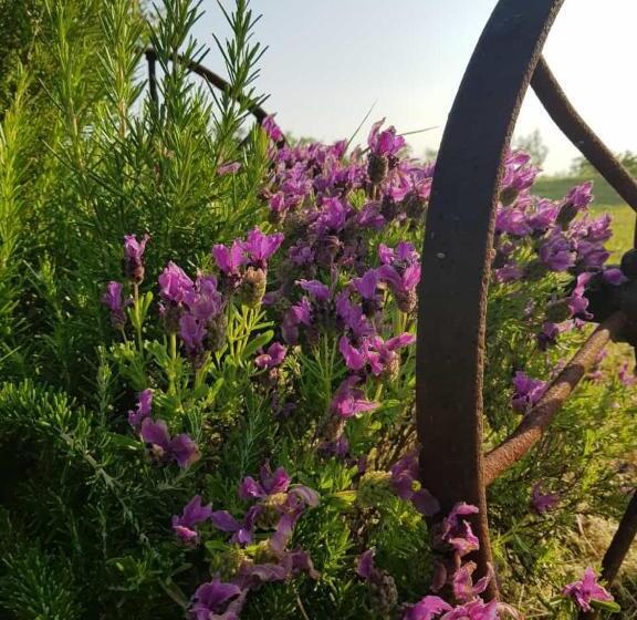 Bed & Breakfast Montesterlino