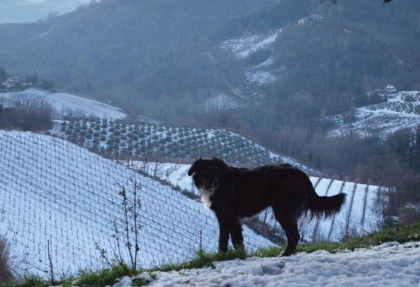 Bed & Breakfast Montesterlino