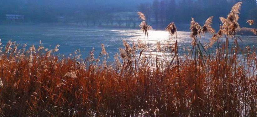 בית מלון כפרי Albergo La Romanella