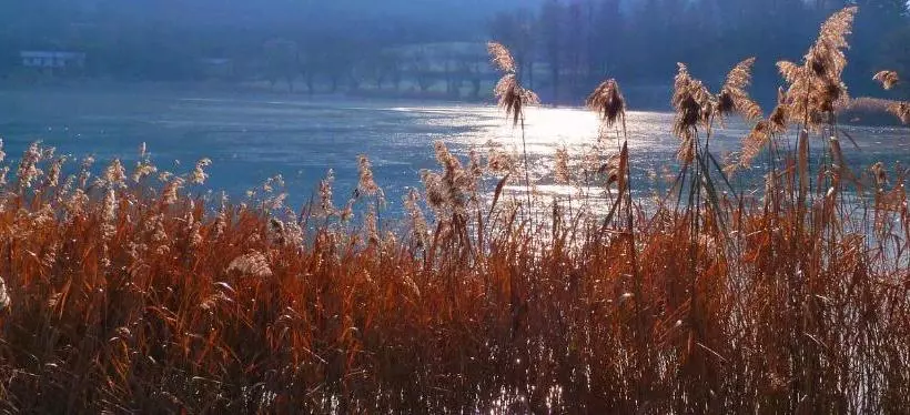 Hotelli Albergo La Romanella