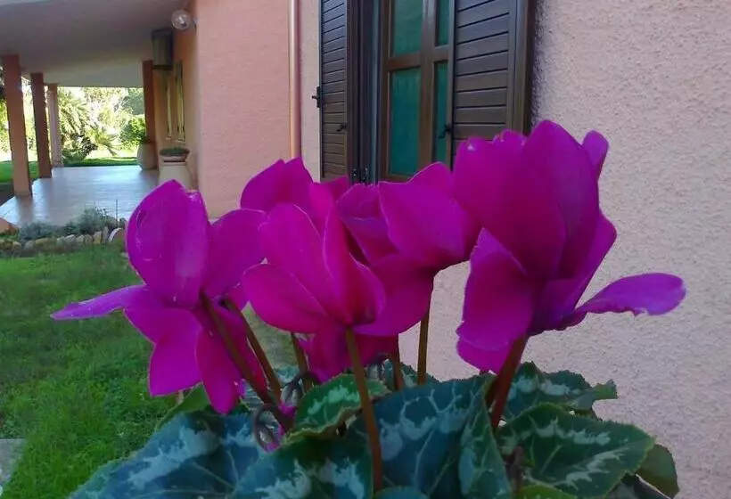 ホテル Su Giudeu