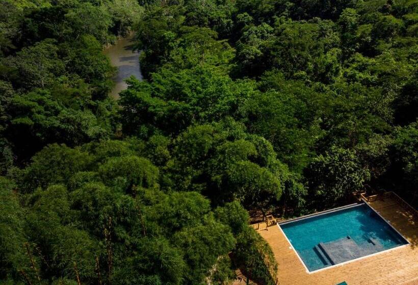 בית מלון כפרי Sweet Songs Jungle Lodge