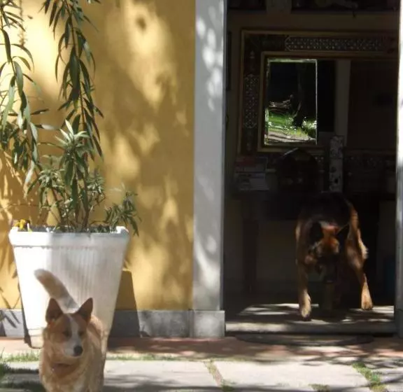 Villa Mirano Bed & Breakfast