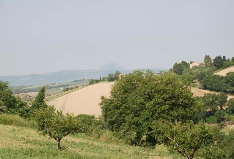 B&b Profumo Delle Marche