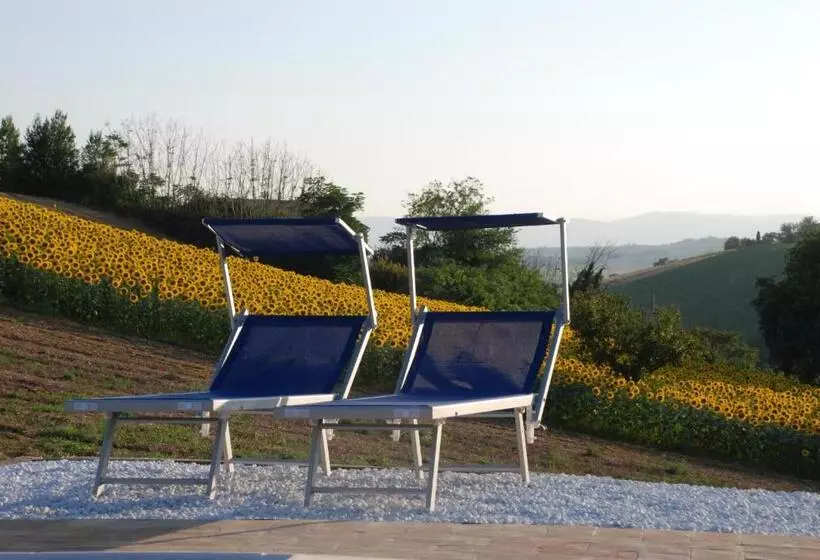 B&b Profumo Delle Marche