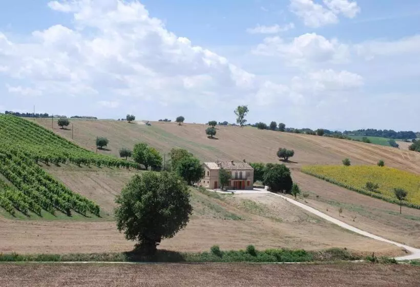 B&b Profumo Delle Marche