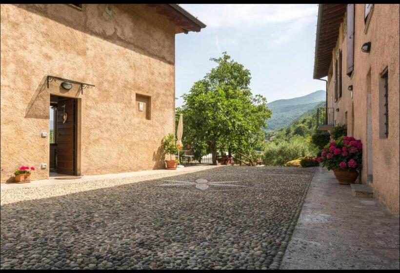 B&b Ronco Degli Ulivi