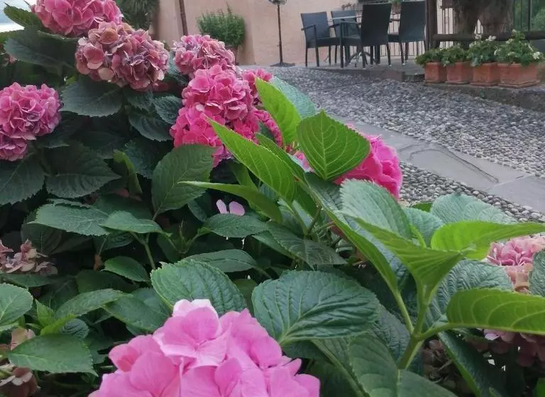B&b Ronco Degli Ulivi