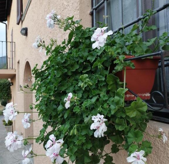 B&b Ronco Degli Ulivi