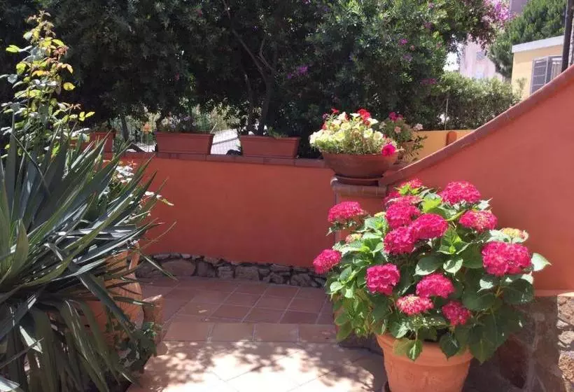 تختخواب و صبحانه Villa Le Bougainvillea