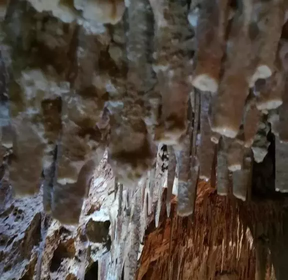 Aamiaismajoitus (B&B) Accogliente Dimora