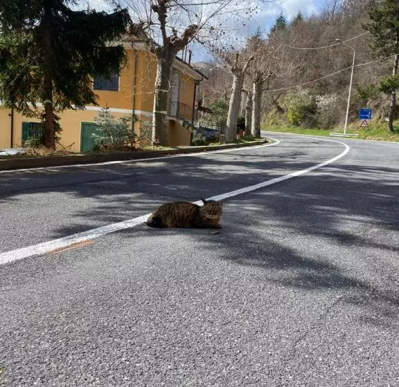 Aamiaismajoitus (B&B) Casa Rosalie