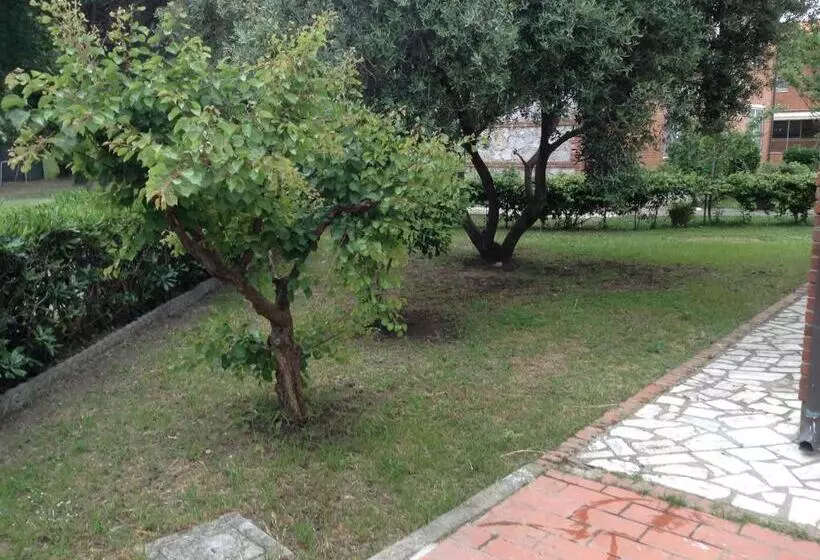 Aamiaismajoitus (B&B) Il Pescatore