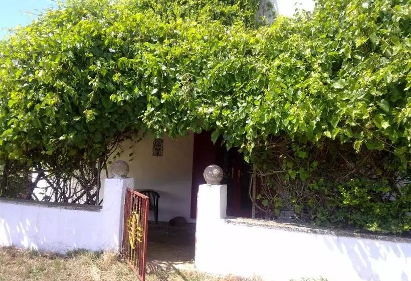 ベッドアンドブレックファースト Masseria Murgia Albanese