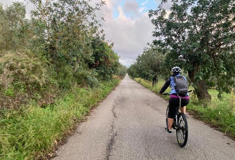 Aamiaismajoitus (B&B) Villa Bernadette