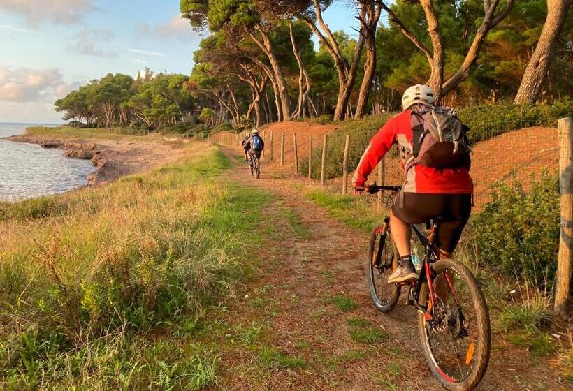 Aamiaismajoitus (B&B) Villa Bernadette