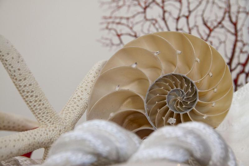 בית מלון כפרי Nautilus