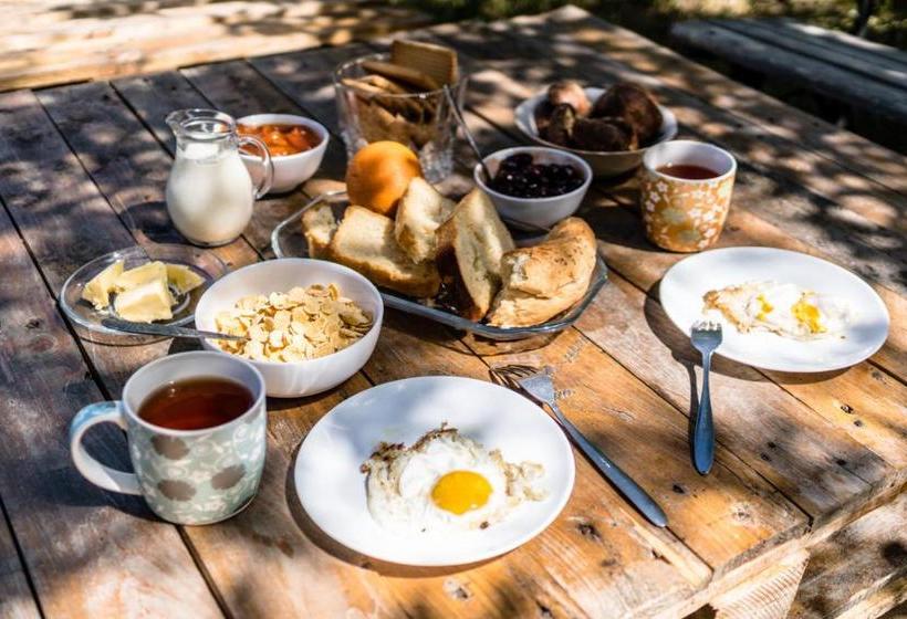 Sunhouse Hostel Karakol