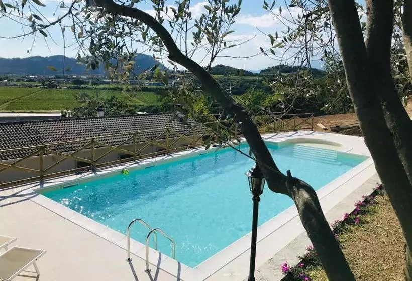 Villa Poggio Ulivo Pool Apartments