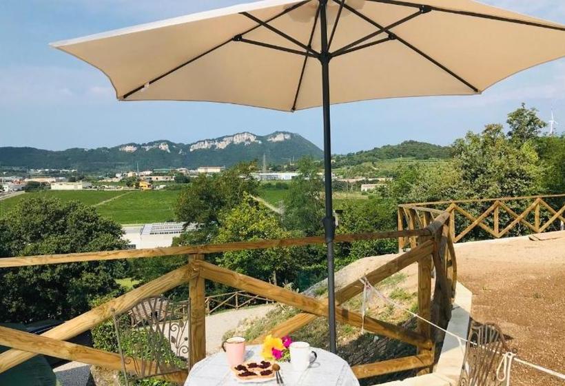 Villa Poggio Ulivo Pool Apartments