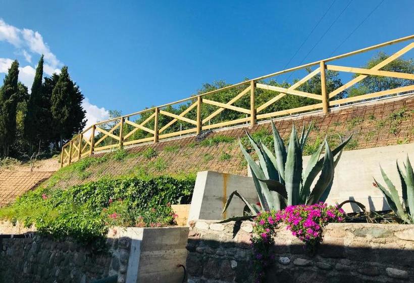 Villa Poggio Ulivo Pool Apartments