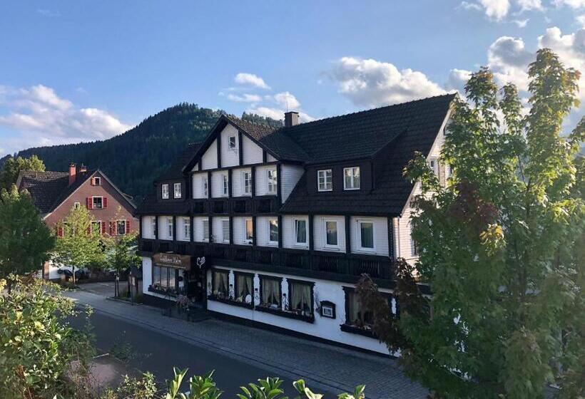 B&b Apart Hotel Goldener Hahn   Guesthouse Hirsch Baiersbronn