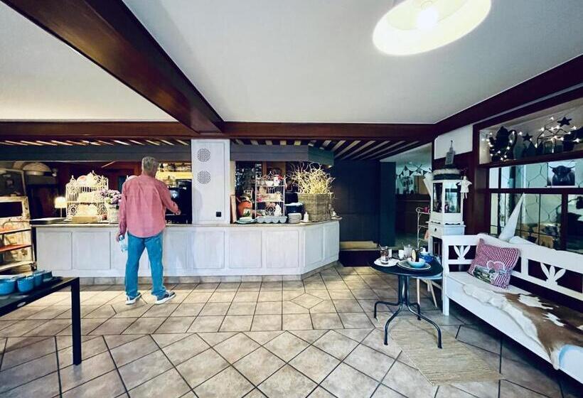 B&b Apart Hotel Goldener Hahn   Guesthouse Hirsch Baiersbronn