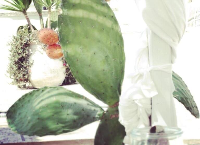 צימר Corte Moline