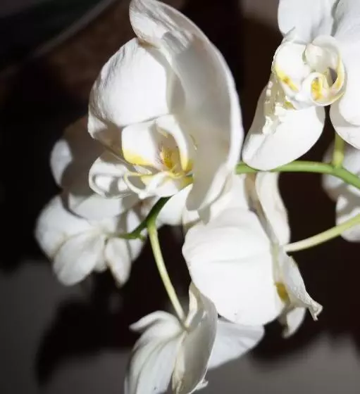 تختخواب و صبحانه Domus San Martino Guesthouse