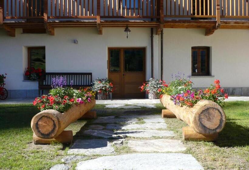 住宿加早餐  Dresalwoald