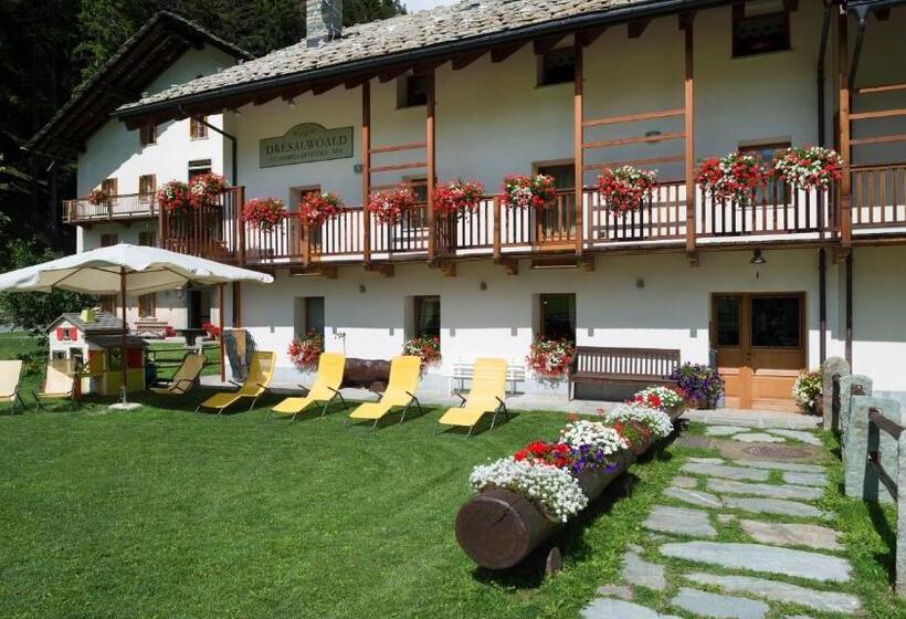 住宿加早餐  Dresalwoald