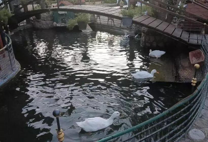 Aamiaismajoitus (B&B) Il Laghetto