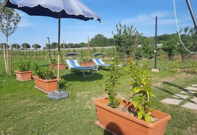 Aamiaismajoitus (B&B) La Casa Della Nonna