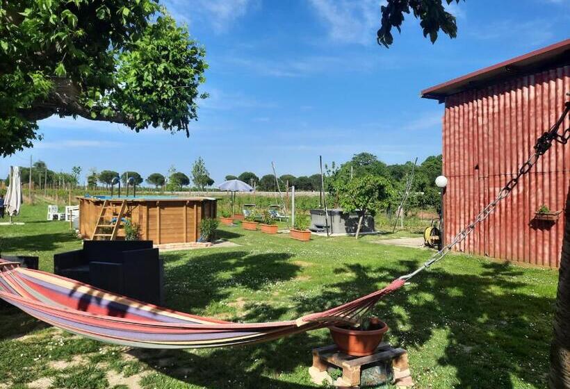 住宿加早餐 La Casa Della Nonna