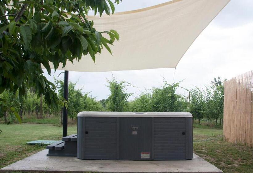 住宿加早餐 La Casa Della Nonna