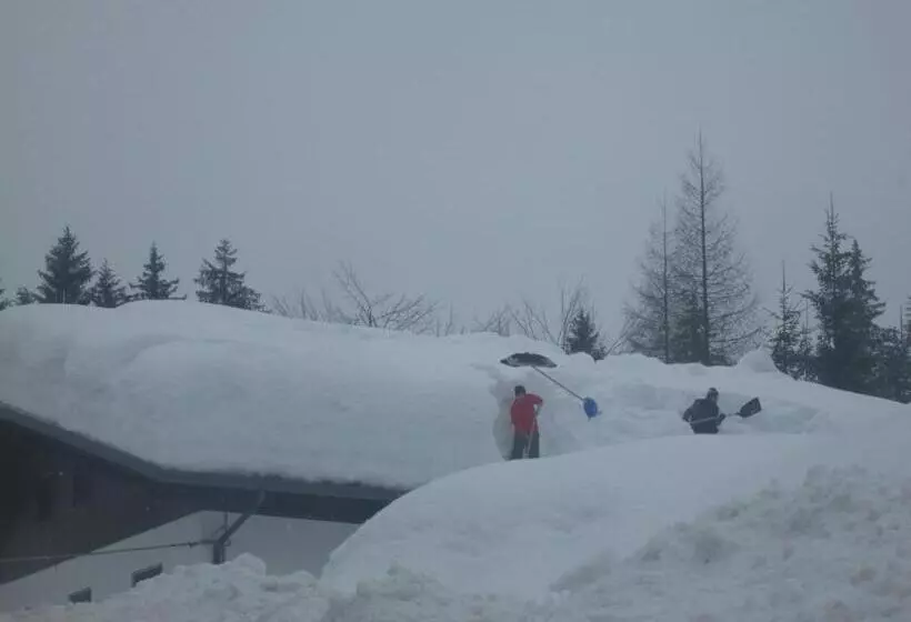 Aamiaismajoitus (B&B) Meublè Blue House