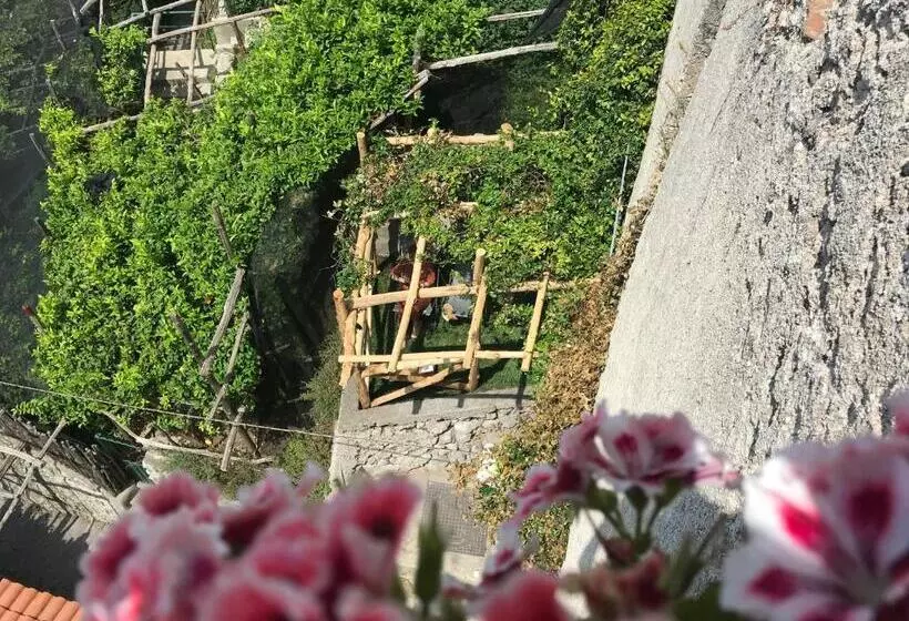 Aamiaismajoitus (B&B) Palazzo Verone