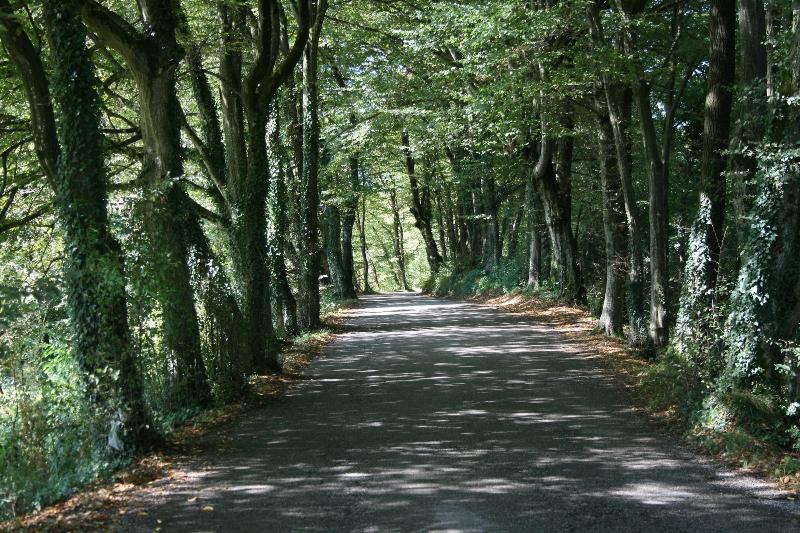 צימר Villa San Liberale   Suites & Wellness