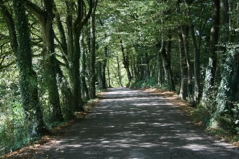 Aamiaismajoitus (B&B) Villa San Liberale   Suites & Wellness