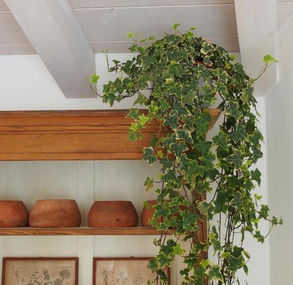 בית מלון כפרי Casa Del Pittore