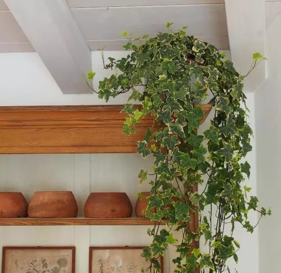 Hotelli Casa Del Pittore