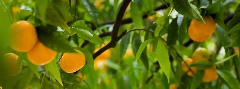 ホテル Villa Gloria