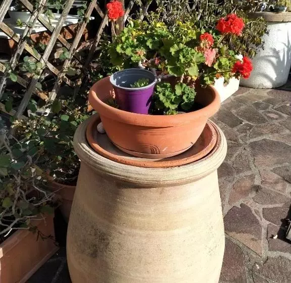 B&b A Casa Di Mael