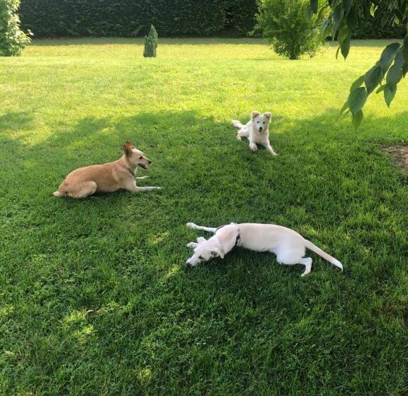 B&b La Magia Dei Sogni Relais