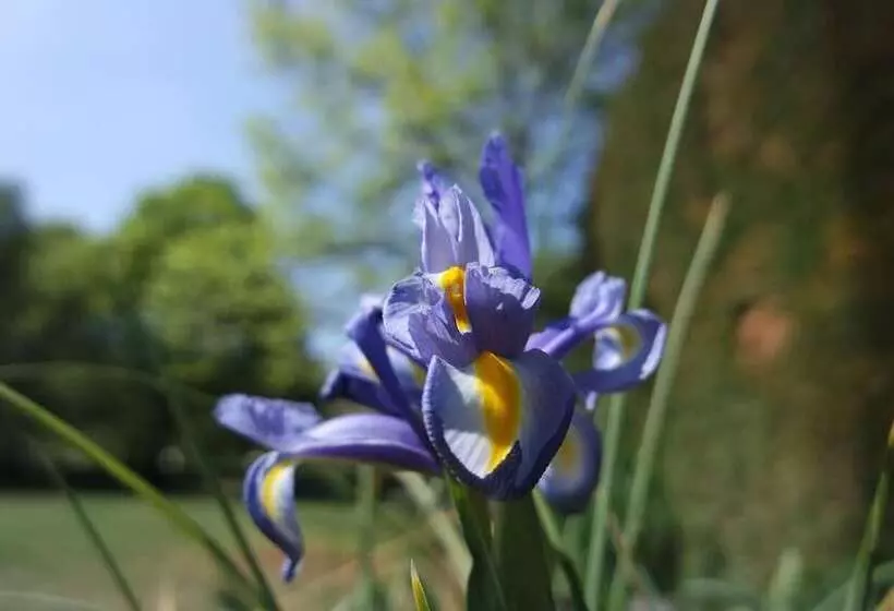 Aamiaismajoitus (B&B) Affittacamere Marisa