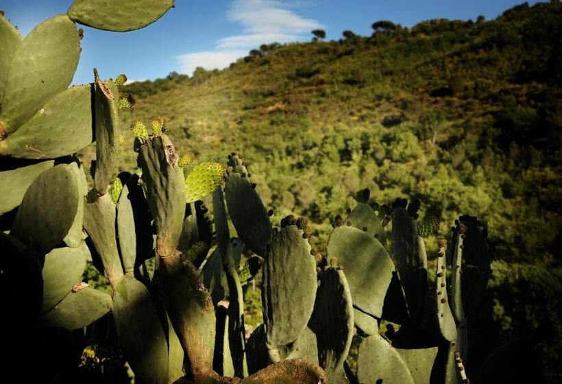 צימר Agritrinacria Rooms