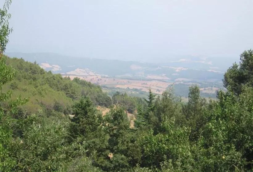 Bed And Breakfast Belvedere