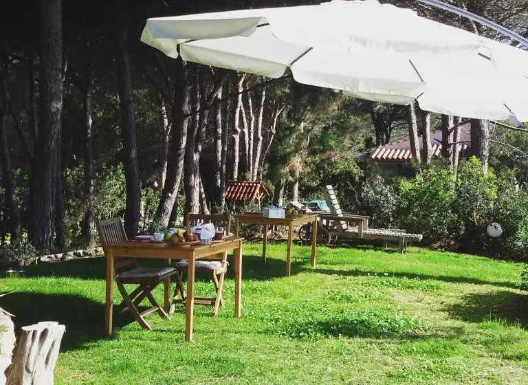 تختخواب و صبحانه Mirto E Mare
