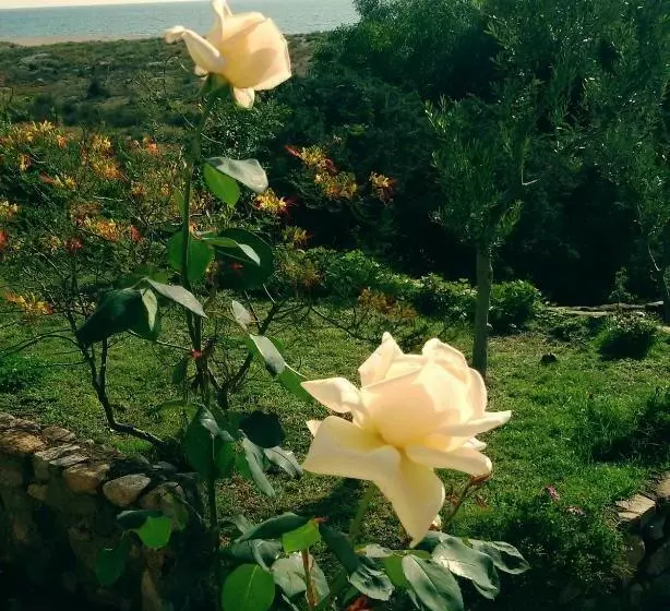 تختخواب و صبحانه Mirto E Mare